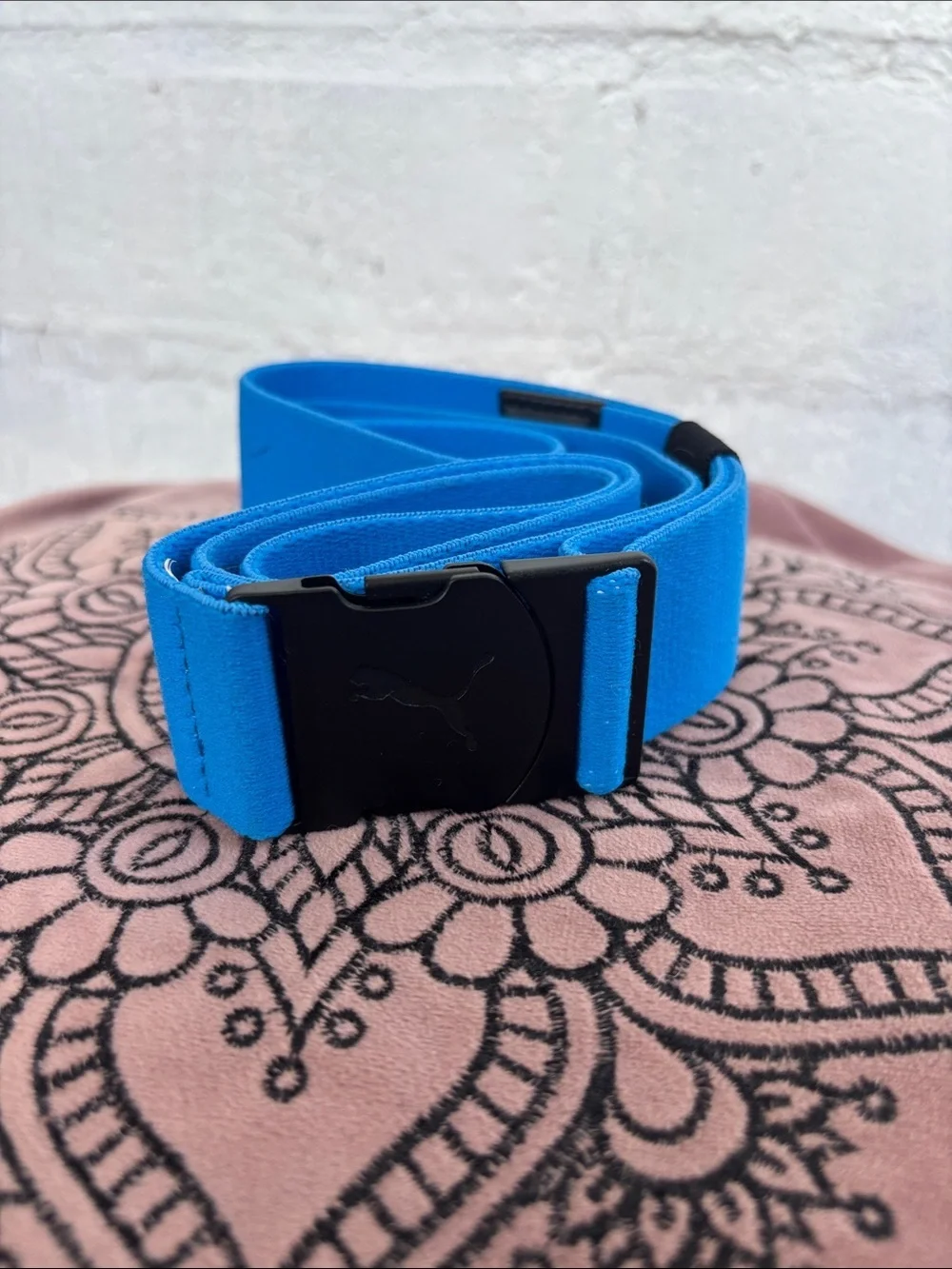 Puma Bright Blue Webbing with Black Buckle Belt